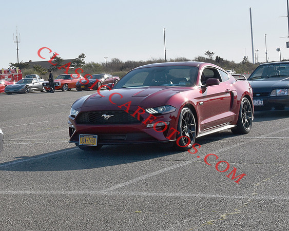 CCF_4441