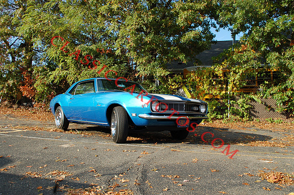DSC_9243