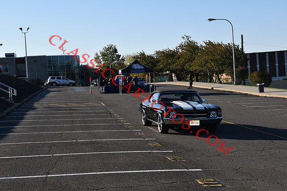 CCF_6239