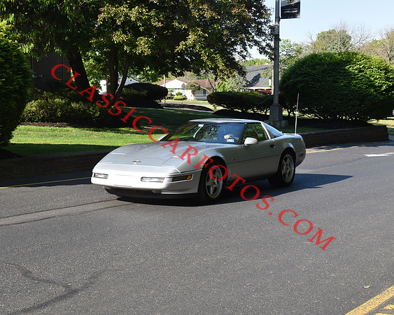 CCF_0029