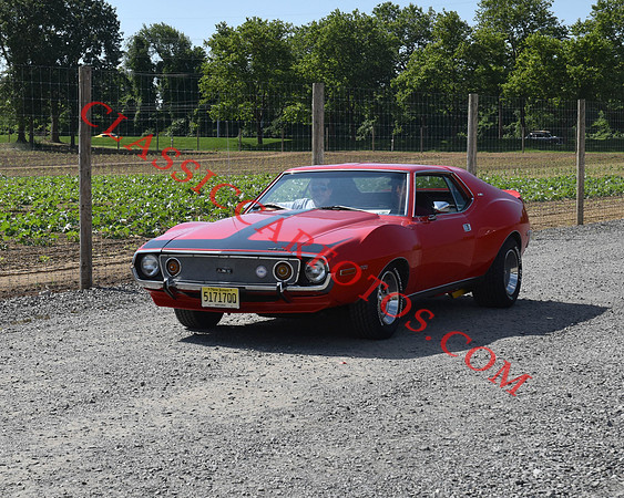 CCF_8232