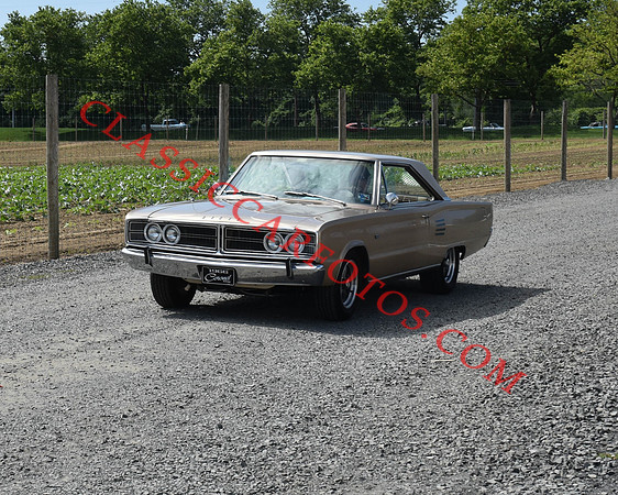 CCF_8298