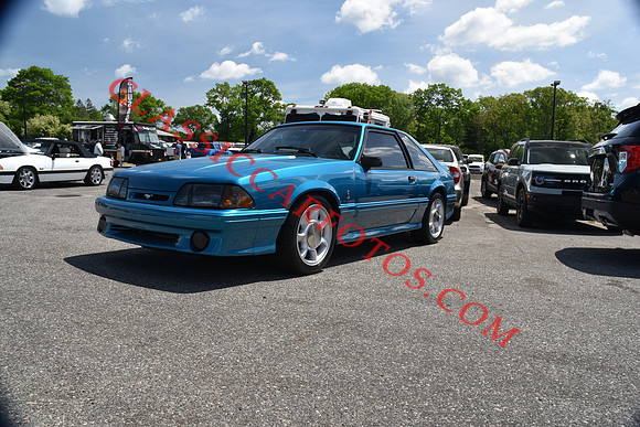 CCF_7808