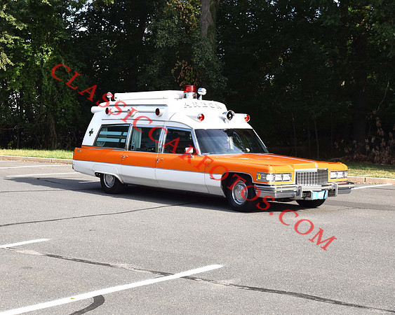 CCF_6549